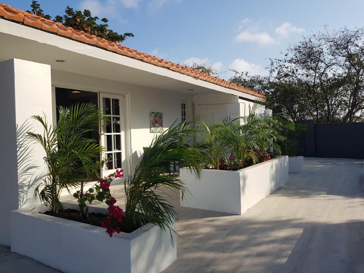 4-Pers Accomodatie Julianadorp, Curacao 빌렘스타트 외부 사진