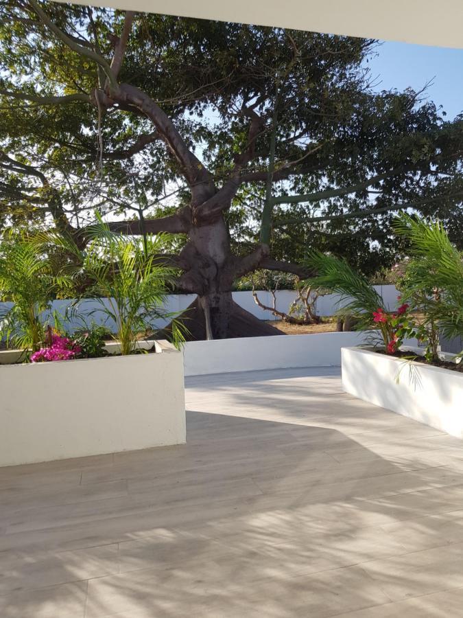 4-Pers Accomodatie Julianadorp, Curacao 빌렘스타트 외부 사진