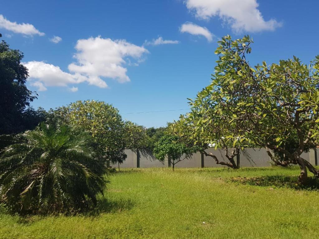 4-Pers Accomodatie Julianadorp, Curacao 빌렘스타트 외부 사진